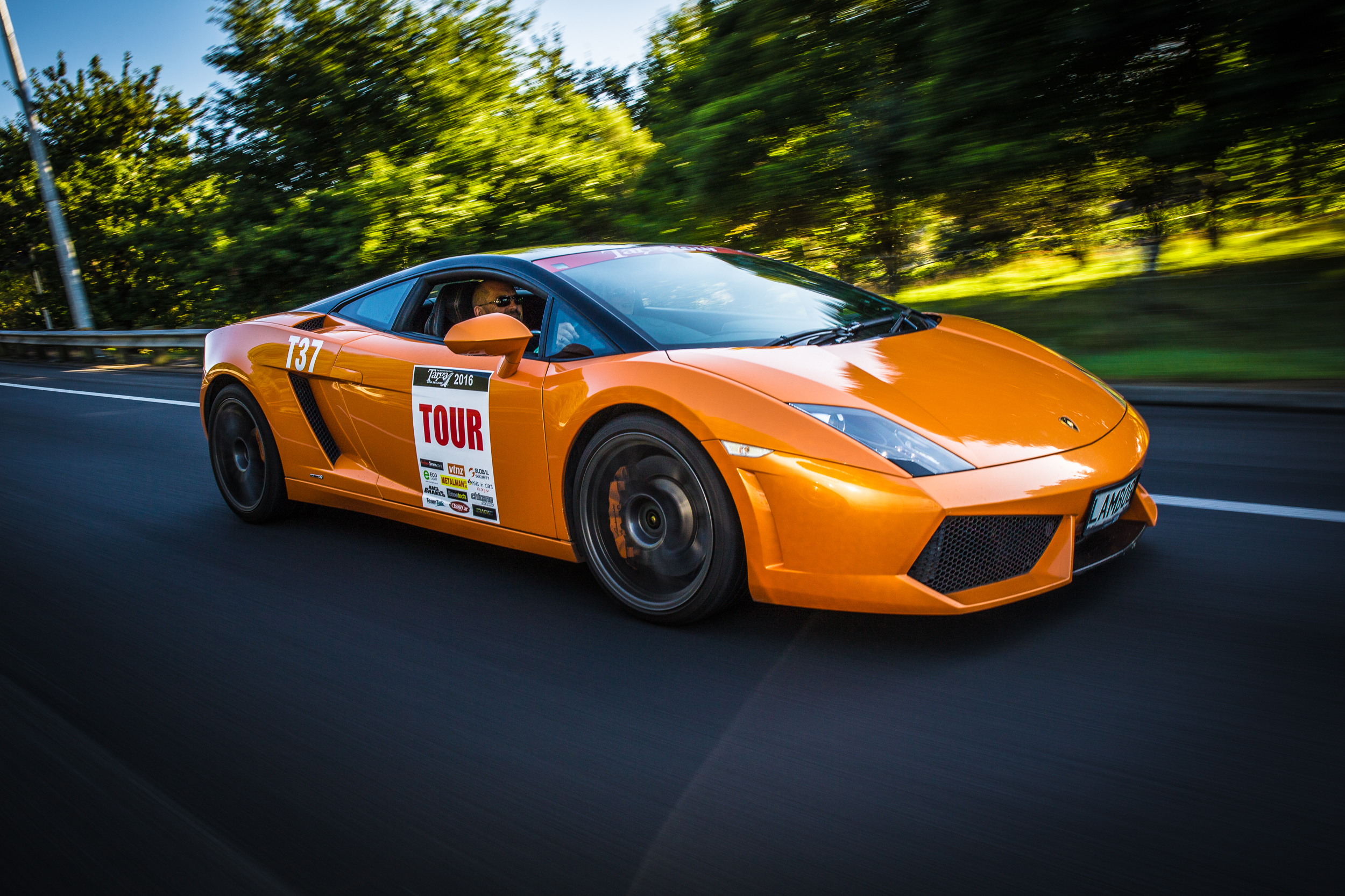 Targa rally car on scenic New Zealand road